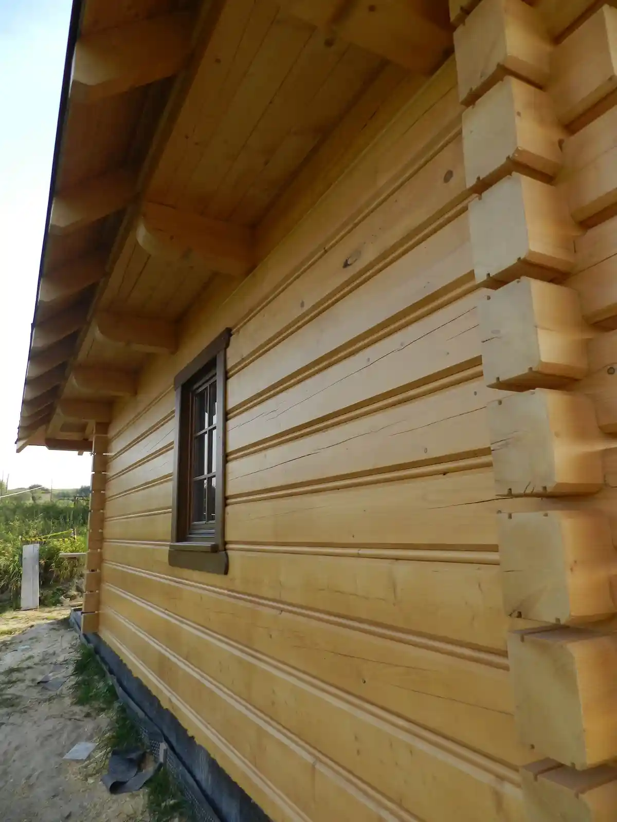 DSCN1915